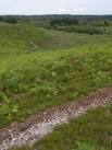 The path in the foreground has worn through the thin acidic topsoil to - via Daymix