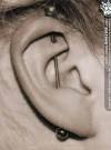 Piercing Gallery | Vertical Industrial Piercing
