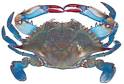 Maryland DNR - Fisheries Service - Fish Facts: Bluecrab