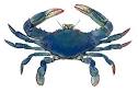 Blue Crab Page
