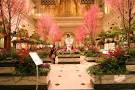 Macy's Center City Philadelphia — visitphilly.