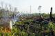 Hotspots expose gaps in Indonesia's forest moratorium