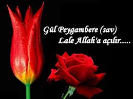 Efendimiz ��in Bi G�L de Siz Ekleyin ...