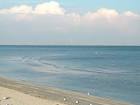Fort Desoto Park Beach - photos, reviews, kayaking, fishing, beach ...