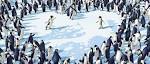 Animation Unplugged.: Happy Feet