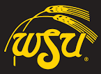 Wichita State Shockers Alternate Logo - NCAA Division I (u-z.