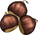 chestnut: Definition from Answers.