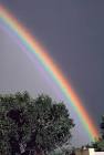 rainbows in the sky