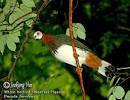 Picasa Web Albums - Vun Sookiong