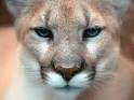 I'm Joining CATAMOUNT Ventures | JSOUND