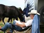 Horse Vacation Experiences | Stone Bridge Farm
