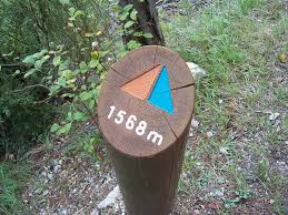 images?q=tbn:ANd9GcTmeMdDkaPiCk1sE8UbvTy2qK0YEtSzt7t-csEw86ryWlQk6DaswpLQI0Ap