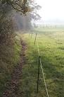 Human arachnid activity. The electric fence glistens just like a spider's - via Daymix