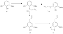 Synthesis of Myristicin and Elemicin from Eugenol - [