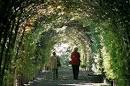 Staten Island Botanical Garden
