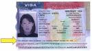 Sample Immigrant Visa | Messing | Immigration Lawyers