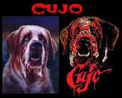 CUJO - Stephen King Photo (18737225) - Fanpop