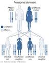 Genetic Disorder Research - Fragile X Syndrome