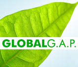 Cosa cambia con la nuova versione del GlobalGAP