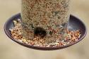 Bird products - Quality Pet &amp; Aquarium Products from Elegant-