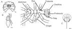 MarLIN - The Marine Life Information Network