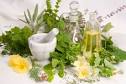 Saul-In-Sight : A Portfolio and Platform: Healing Plant Power