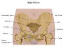 Ankylosing Spondylitis