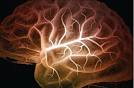 Healing Partnership - Brain Chemistry