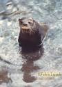 lontra pronunciation