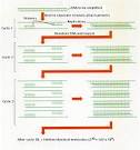 With <b>PCR</b>, it is routinely
