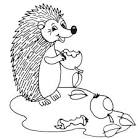 Hedgehog coloring page