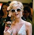 Celebrity Dog Owners By Breed