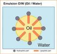 Cargill Texturizing Solutions: Products Functional systems ...