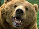 Bear pronunciation