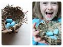 Bowl for the nest mold