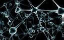 Biological neural network - Other Wallpaper 48950 - Desktop Nexus ...