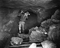 Are IT Workers the Coal Miners of the 21st Century? - Unchartered ...