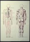 Child <b>leg length discrepancy</b>