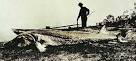 If the Loch Ness Monster Exists, What Is It? Reptile, Invertebrate ...