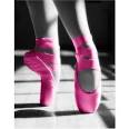 Ballet Shoes