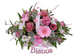 http://t2.gstatic.com/images?q=tbn:ANd9GcTq38IpodzoH4LGjSuHeSOUNGpxqqcMK03D4GRvxf2nwqZhE7Y6