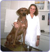 Tierarzt Buseck - Praxis Dr. Barbara Ahrem