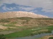 زرد کوه