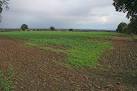 Stoke Field. According to popular theory this is the position of the Yorkist - via Daymix