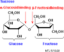 Comparing the Quantity of Sucrose in Normal and High Sucrose ...