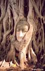 About Ayutthaya
