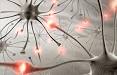 <b>Epilepsy</b> is a chronic disorder