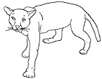 Mountain Lion coloring page