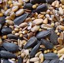 bird seed | Birds blog