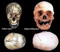 Forensic Science | Forensic Anthropology